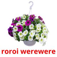 roroi werewere picture flashcards