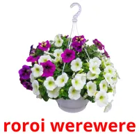 roroi werewere picture flashcards