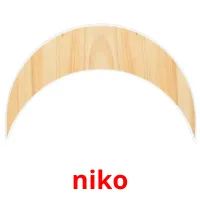 niko picture flashcards