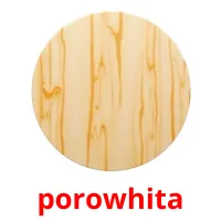 porowhita picture flashcards