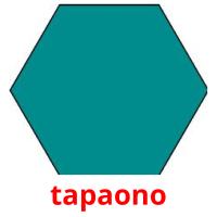 tapaono picture flashcards