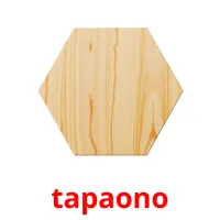 tapaono picture flashcards