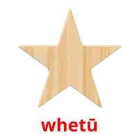 whetū picture flashcards