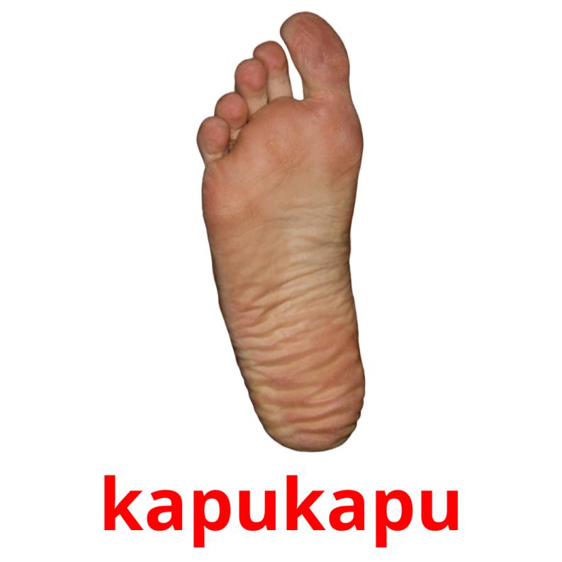 kapukapu picture flashcards