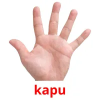 kapu picture flashcards