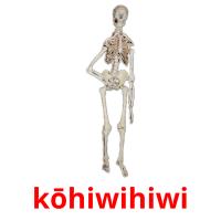 kōhiwihiwi picture flashcards