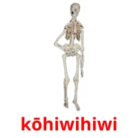 kōhiwihiwi picture flashcards