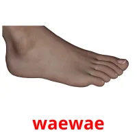 waewae picture flashcards