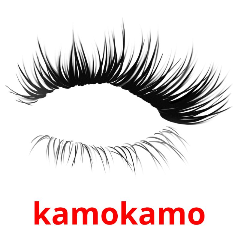 kamokamo picture flashcards
