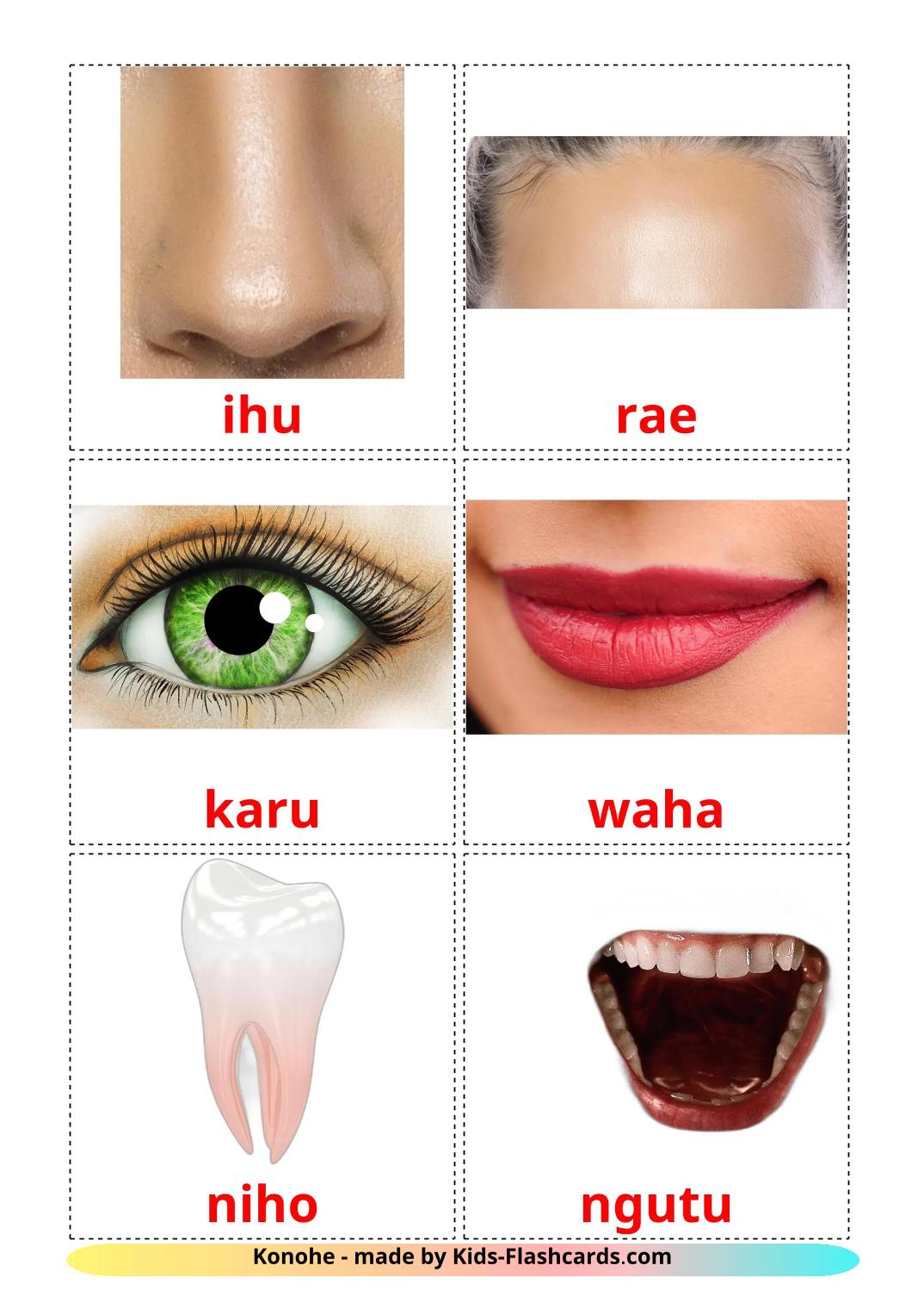 Face - 20 Free Printable maori Flashcards 