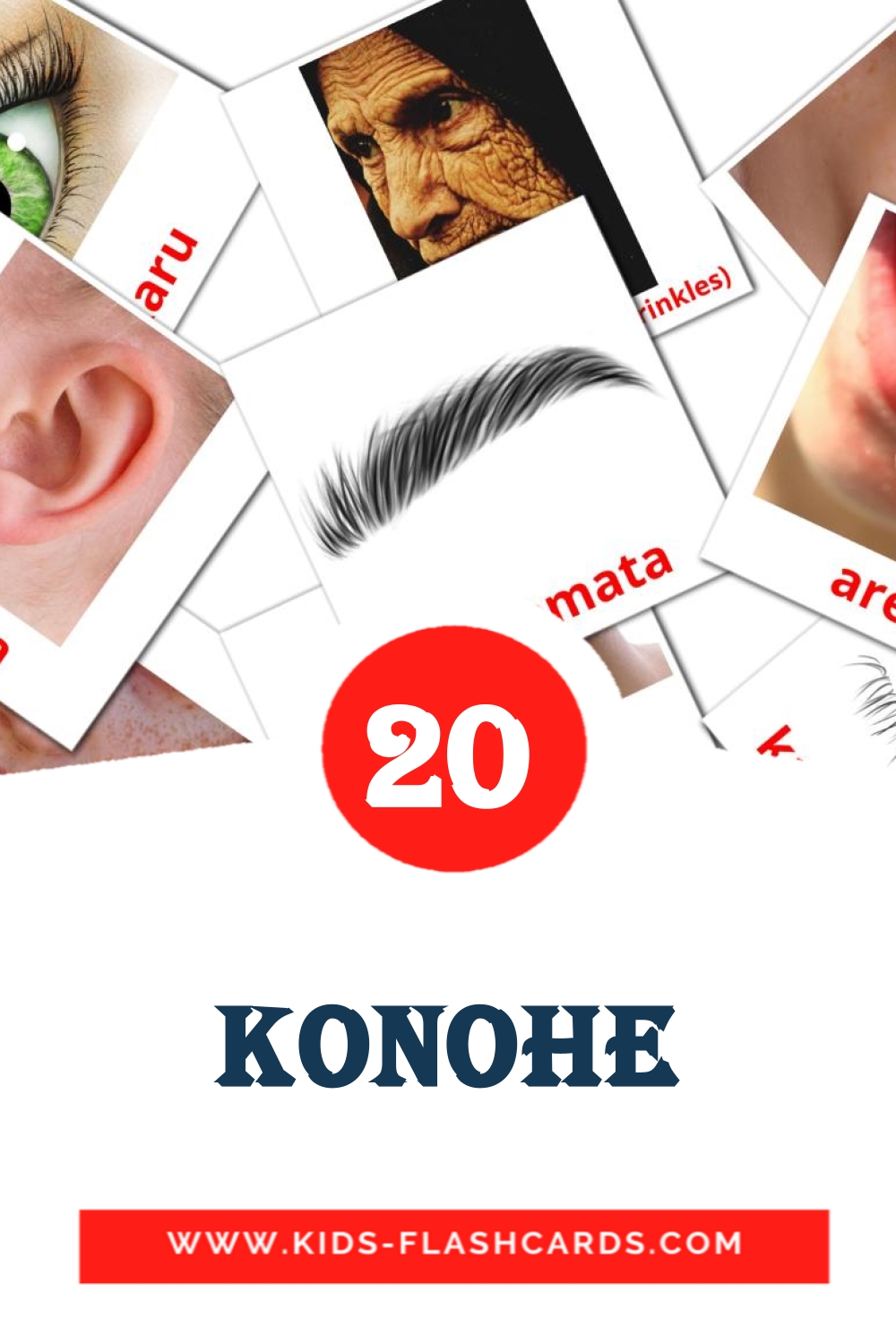 20 Konohe Picture Cards for Kindergarden in maori