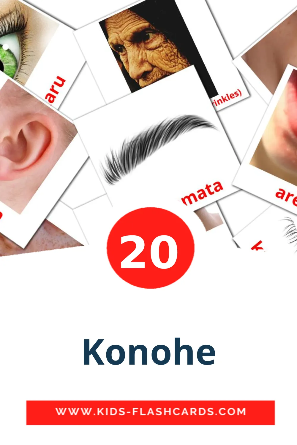 20 Konohe Picture Cards for Kindergarden in maori