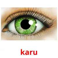 karu picture flashcards