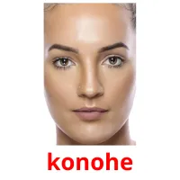 konohe picture flashcards