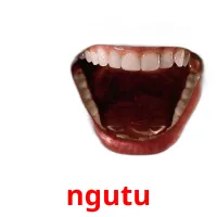 ngutu picture flashcards