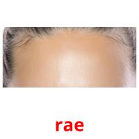 rae picture flashcards