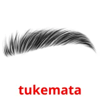 tukemata picture flashcards