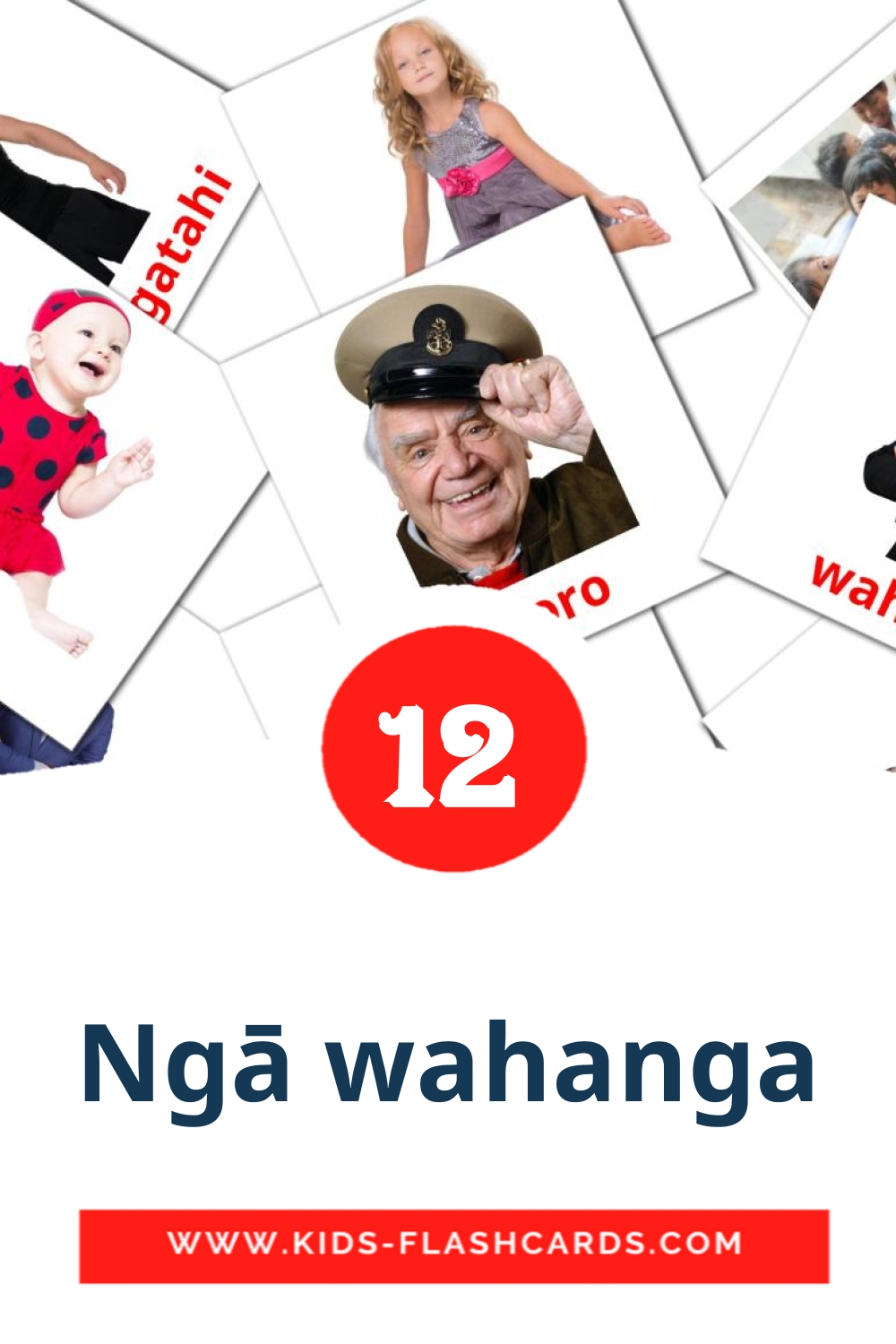 12 Cartões com Imagens de Ngā wahanga para Jardim de Infância em maori