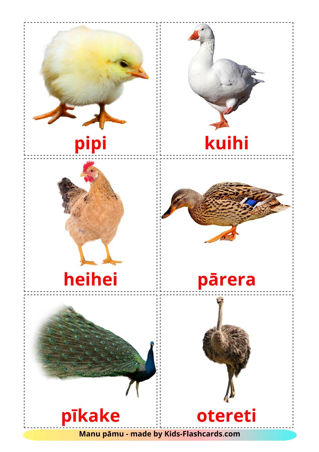 Farm birds - 11 Free Printable maori Flashcards 