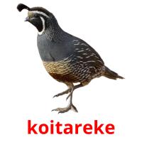 koitareke card for translate
