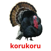 korukoru picture flashcards