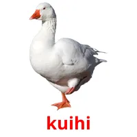 kuihi picture flashcards