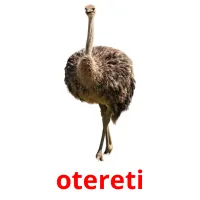 otereti picture flashcards