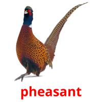 pheasant card for translate