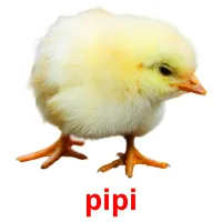 pipi picture flashcards