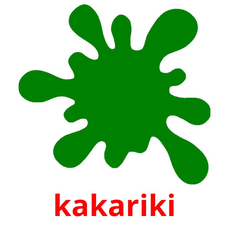 kakariki picture flashcards