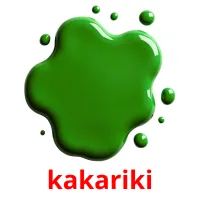 kakariki picture flashcards