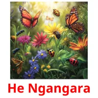 He Ngangara picture flashcards