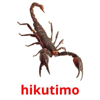 hikutimo picture flashcards