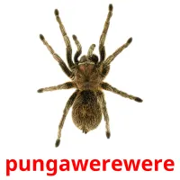 pungawerewere picture flashcards