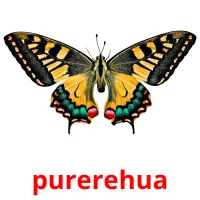 purerehua picture flashcards