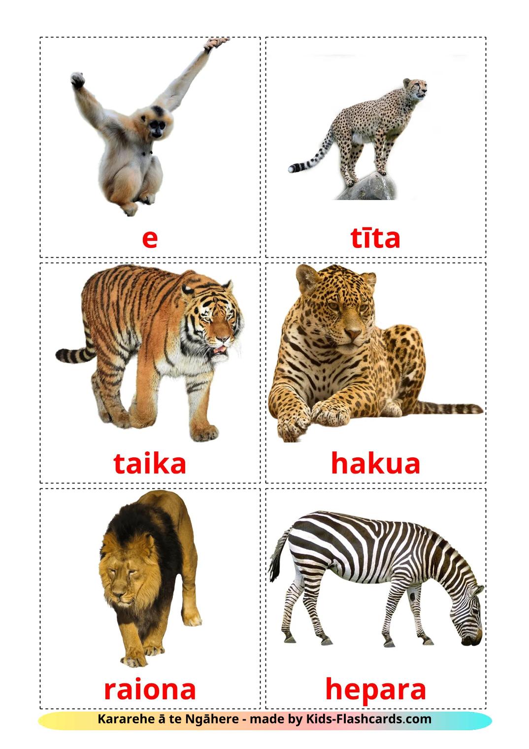 Animais da Selva - 22 Flashcards maories gratuitos para impressão