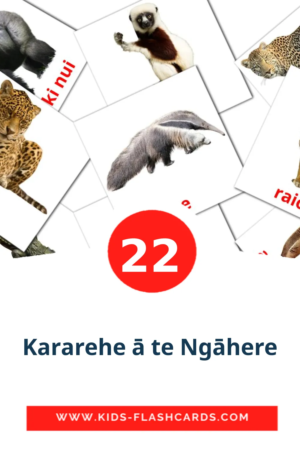22 Cartões com Imagens de Kararehe ā te Ngāhere para Jardim de Infância em maori