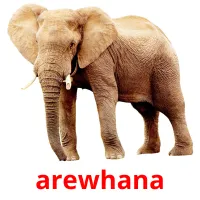 arewhana cartões com imagens
