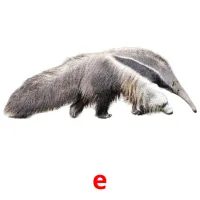 e cartões com imagens