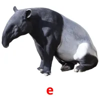 e cartões com imagens