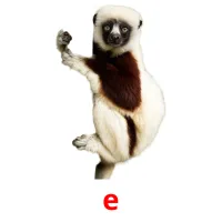e kuvakortit