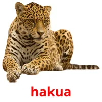 hakua cartões com imagens