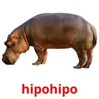 hipohipo cartões com imagens