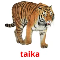 taika cartões com imagens