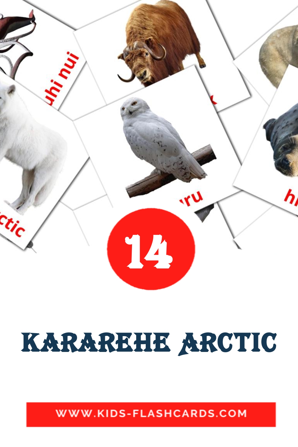 14 Kararehe Arctic Picture Cards for Kindergarden in maori