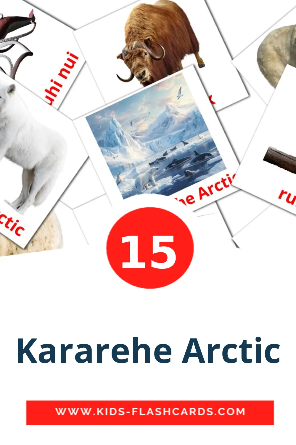 15 Kararehe Arctic Picture Cards for Kindergarden in maori