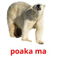 poaka ma card for translate