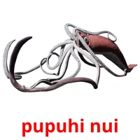 pupuhi nui picture flashcards