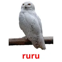 ruru picture flashcards