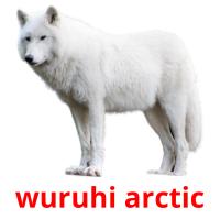 wuruhi arctic card for translate